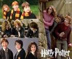Harry Potter ve arkadaşları Ron ve Hermione